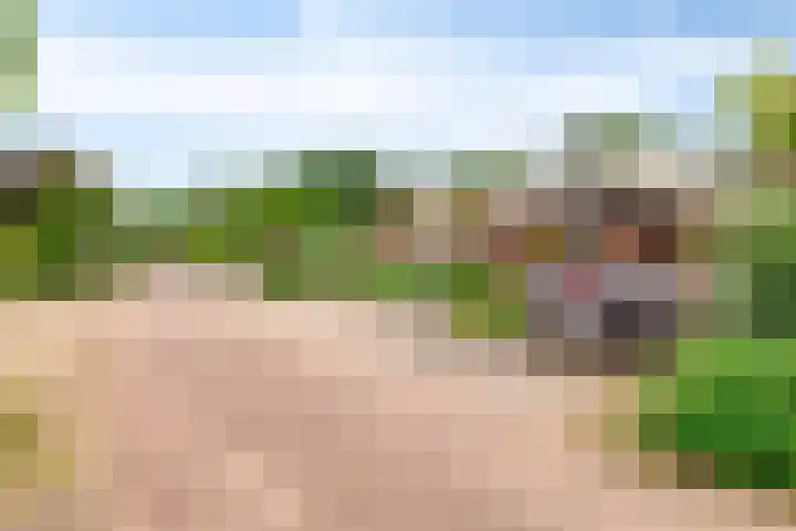 Hoog Barge 21 Eefde thumbnail 29