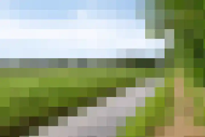 Hoog Barge 21 Eefde thumbnail 32