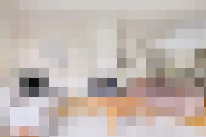 Hoog Barge 21 Eefde thumbnail 5