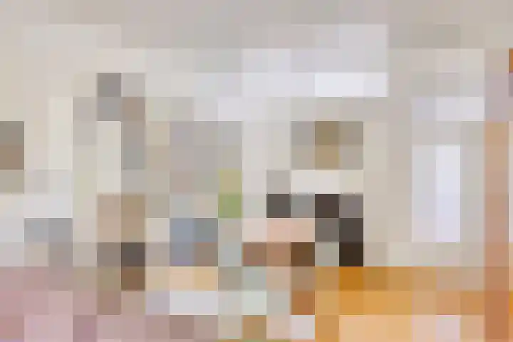 Hoog Barge 21 Eefde thumbnail 8