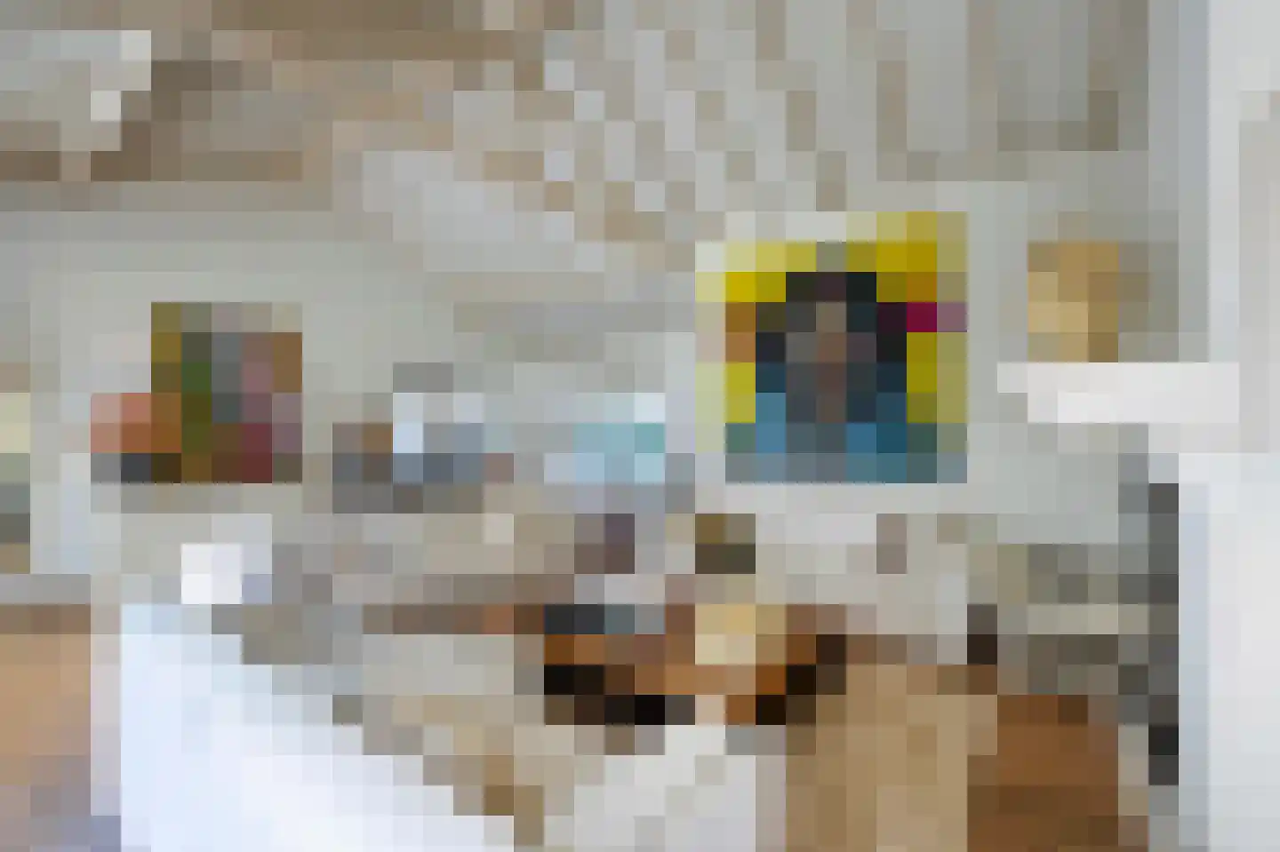 Hoog Hoefloo 27 Laren thumbnail 15