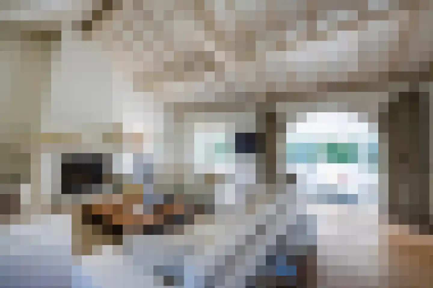 Hoog Hoefloo 27 Laren thumbnail 18