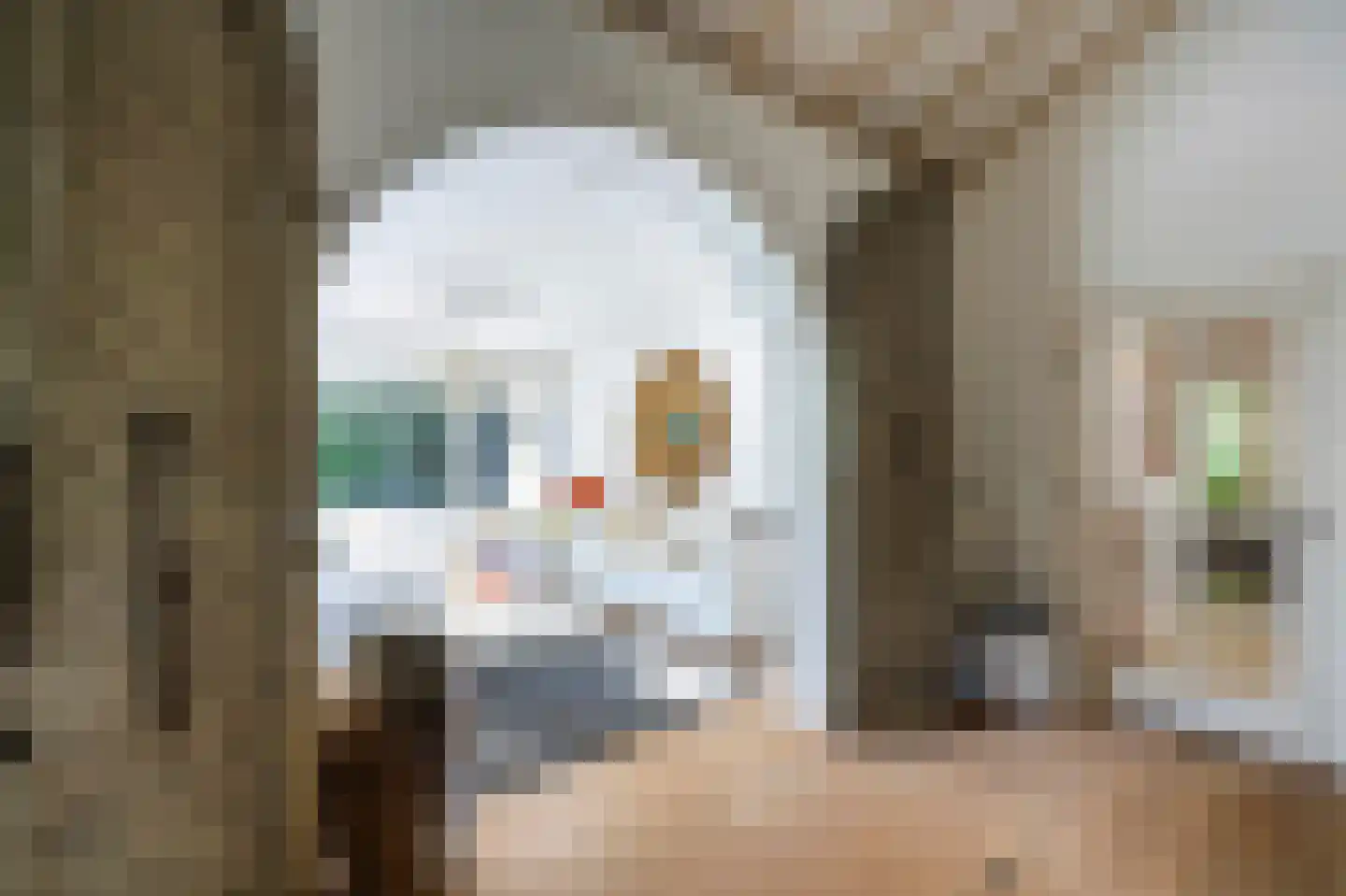Hoog Hoefloo 27 Laren thumbnail 19