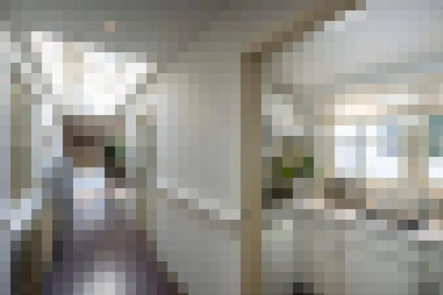 Hoog Hoefloo 27 Laren thumbnail 36