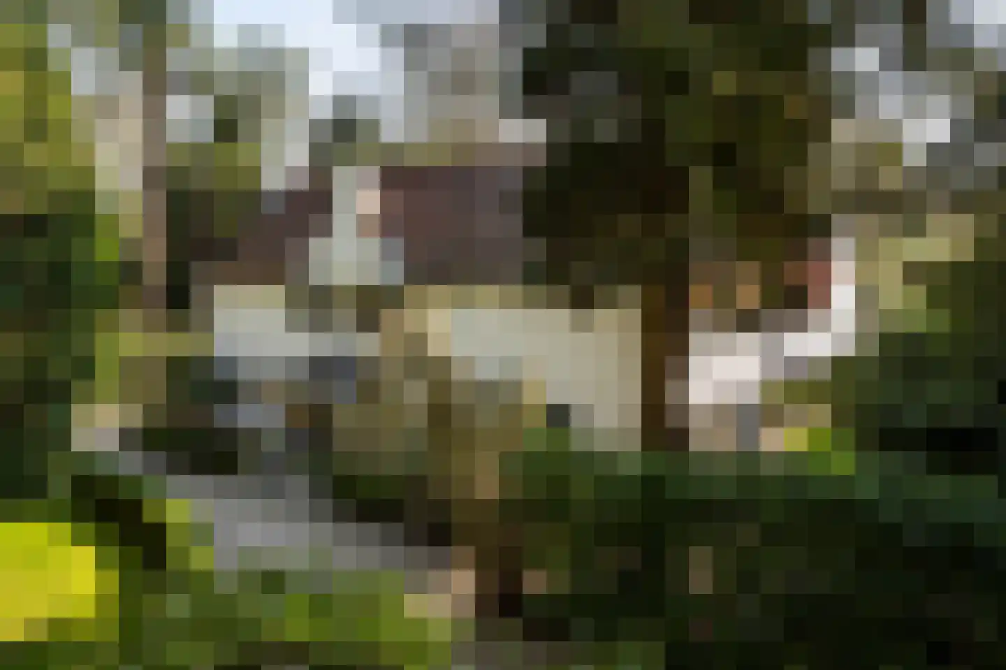 Hoog Hoefloo 27 Laren thumbnail 5