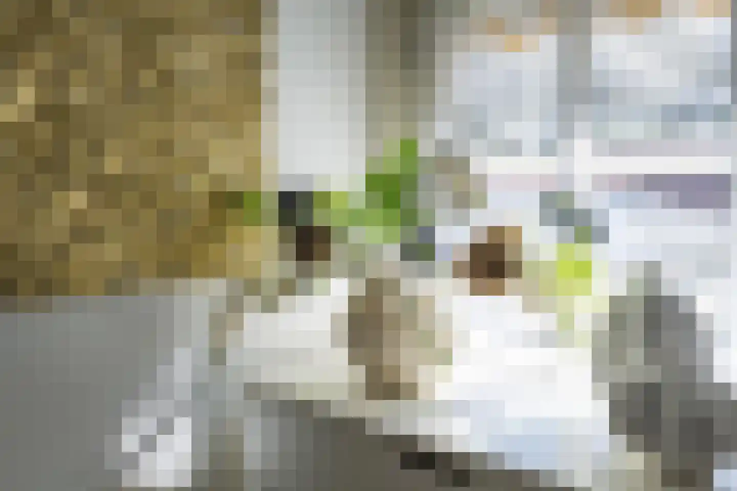 Hoog Hoefloo 27 Laren thumbnail 52