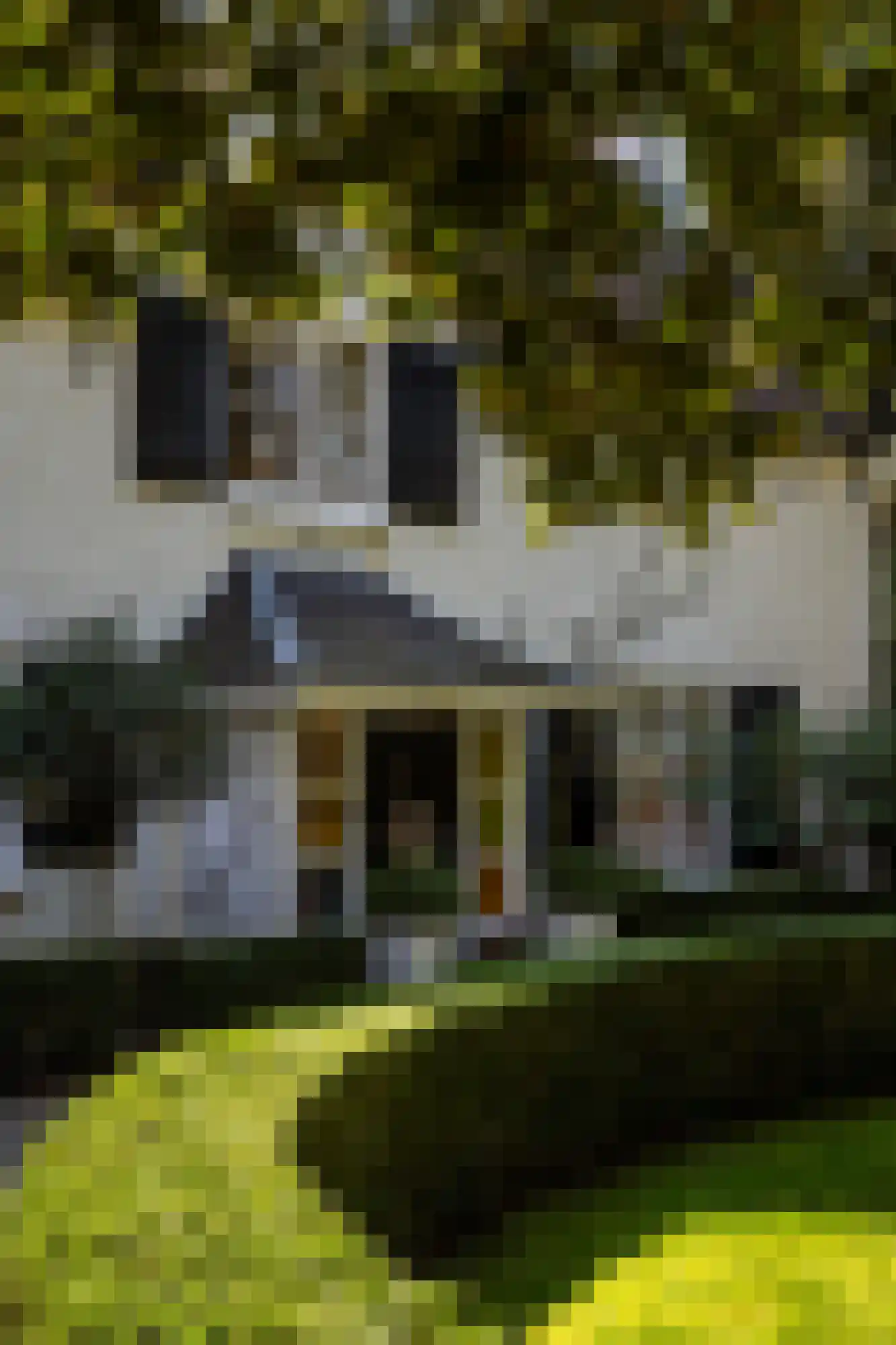 Hoog Hoefloo 27 Laren thumbnail 6