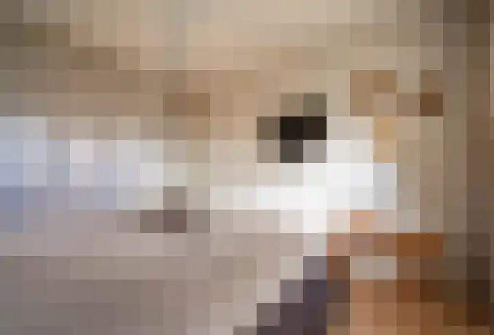 Hoogakker 14 Milheeze thumbnail 25