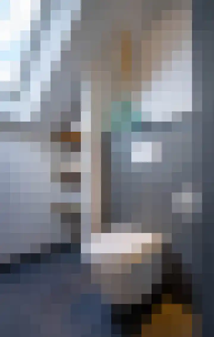 Hoogakker 14 Milheeze thumbnail 34