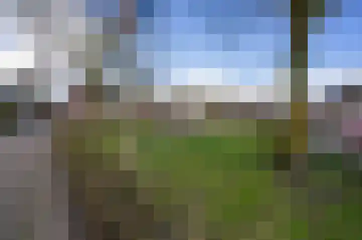 Hoogakker 14 Milheeze thumbnail 52