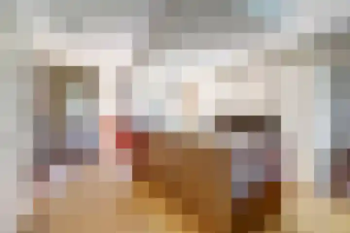 Hooge Riet 13 Ermelo thumbnail 14