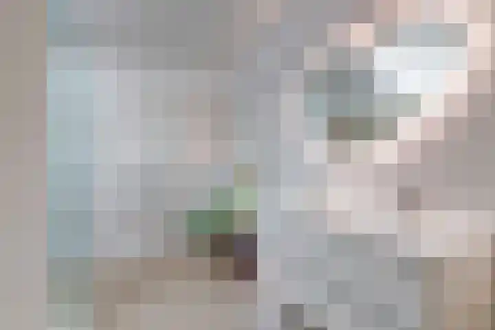 Hooge Riet 13 Ermelo thumbnail 30
