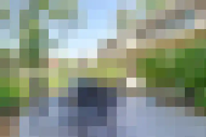 Hooge Riet 13 Ermelo thumbnail 36