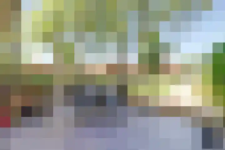 Hooge Riet 13 Ermelo thumbnail 4