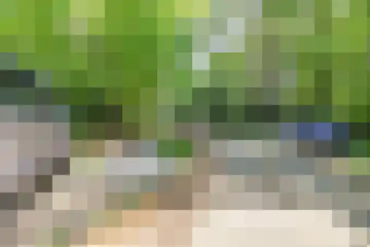 Hooge Riet 13 Ermelo thumbnail 41