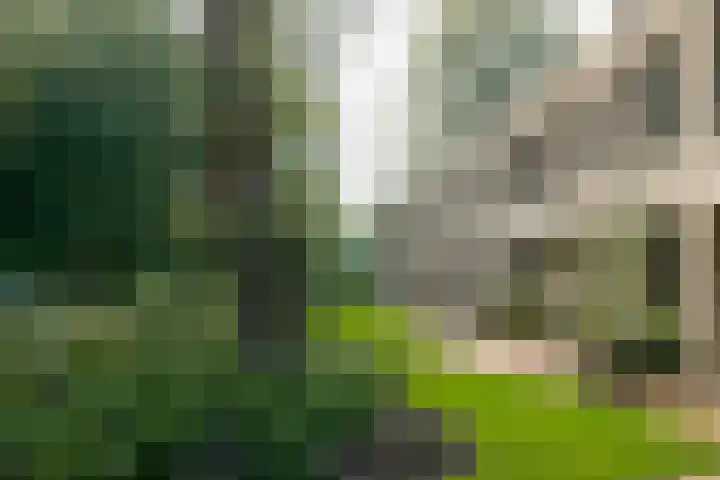 Hooge Riet 13 Ermelo thumbnail 47