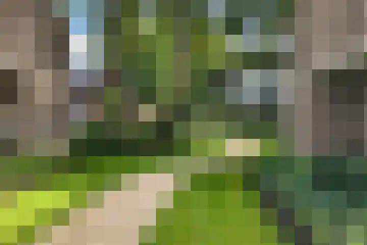 Hooge Riet 13 Ermelo thumbnail 48