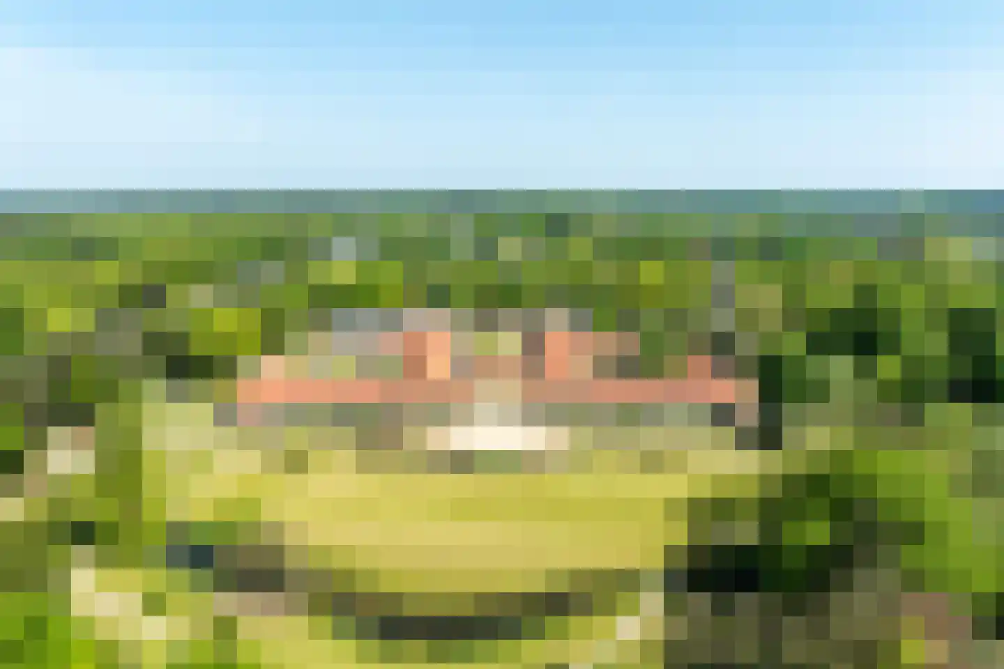 Hooge Riet 60 Ermelo thumbnail 5