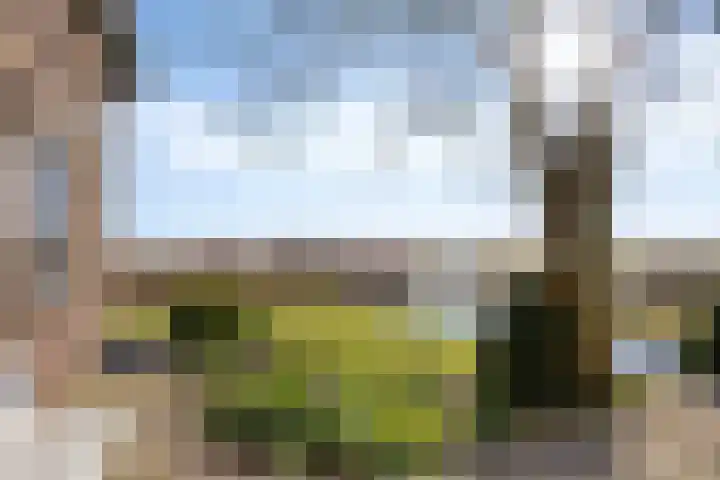 Hoogedijk 60 Katwoude thumbnail 4
