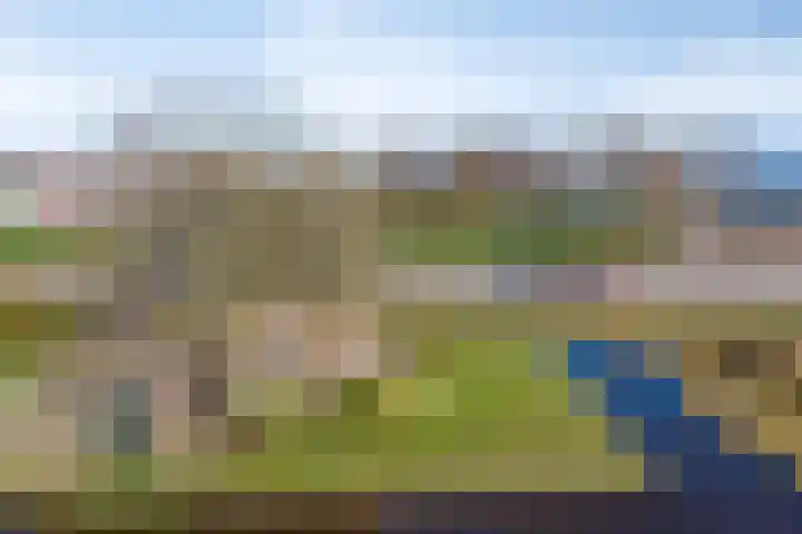Hoogedijk 60 Katwoude thumbnail 6