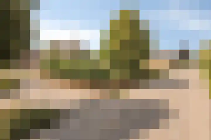 Hoogeind 2 Oosteind foto 2