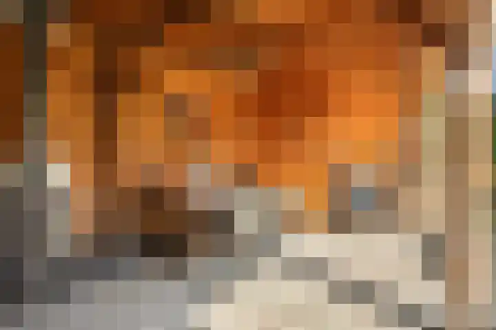 Hoogeind 2 Oosteind thumbnail 33