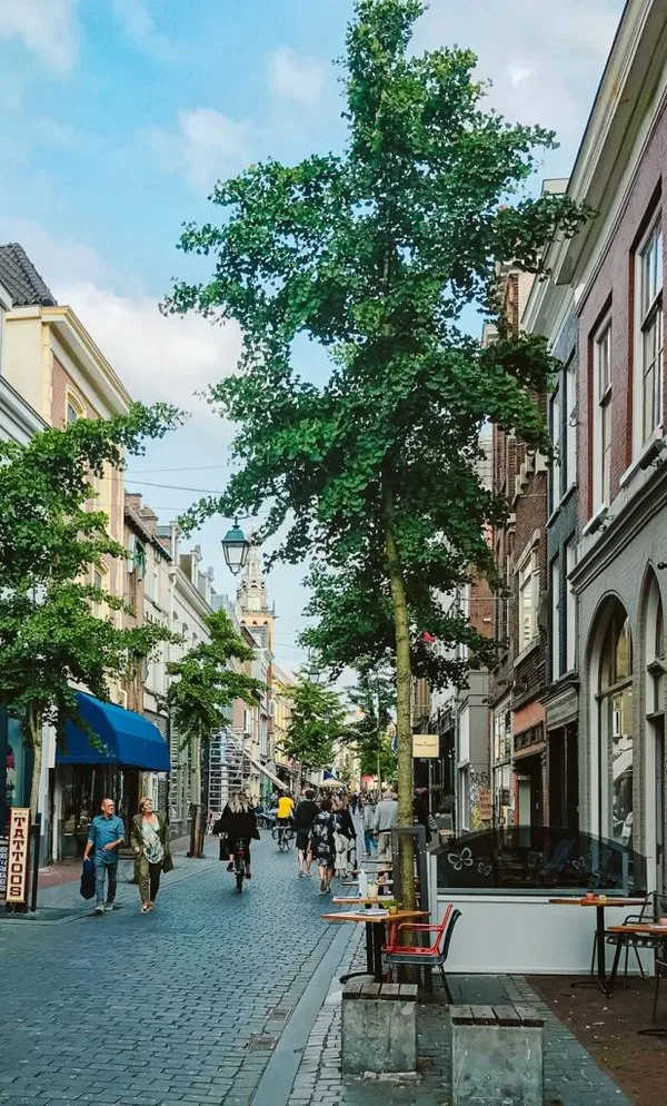 Bürofoto von Hoogen & Co. makelaardij