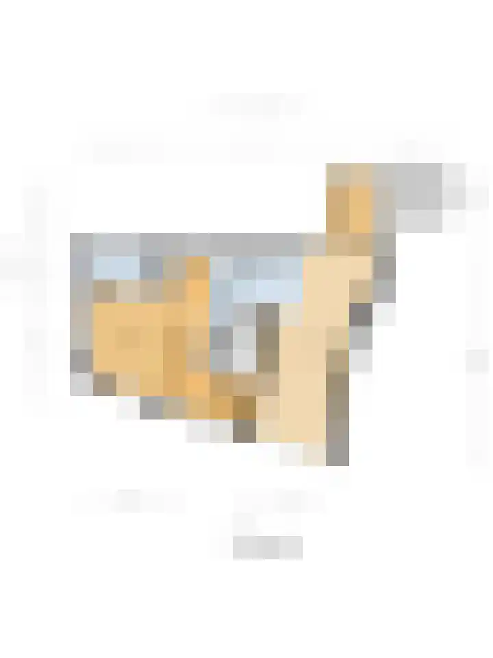 Hoogenhoek 1 a Leerdam thumbnail 28