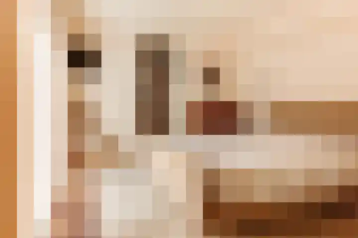 Hoogeweg 11 Heiloo thumbnail 26