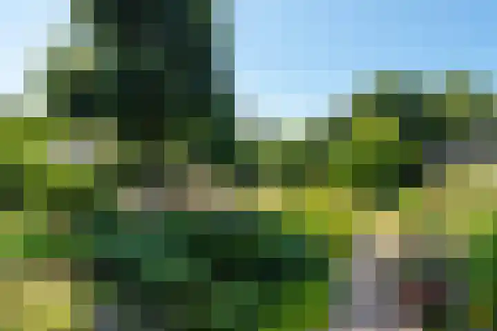 Hoogeweg 11 Heiloo thumbnail 4