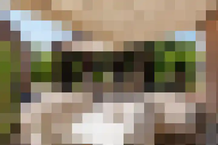 Hoogeweg 11 Heiloo thumbnail 42