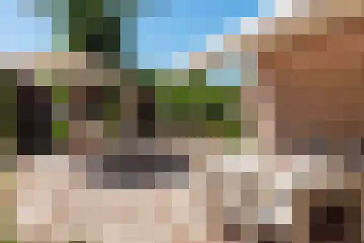 Hoogeweg 11 Heiloo thumbnail 43