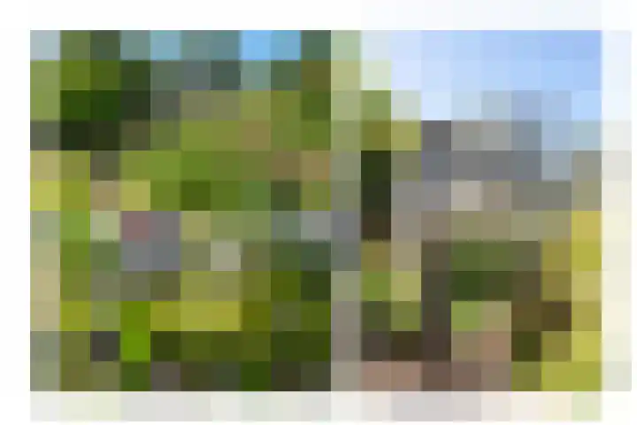 Hoogeweg 11 Heiloo thumbnail 47