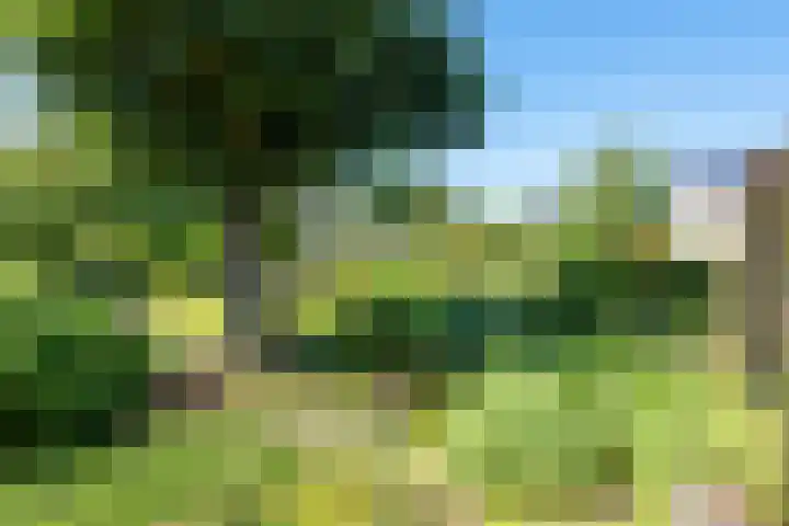 Hoogeweg 11 Heiloo thumbnail 48