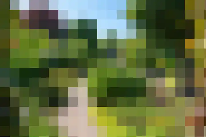 Hoogeweg 11 Heiloo thumbnail 49