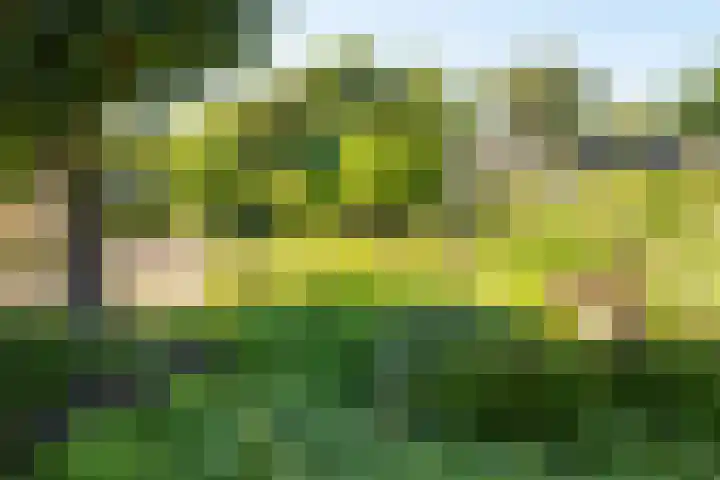 Hoogeweg 11 Heiloo thumbnail 50