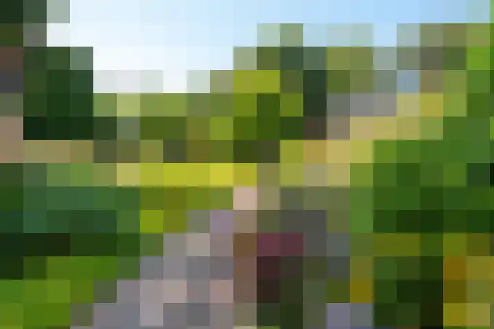 Hoogeweg 11 Heiloo thumbnail 51