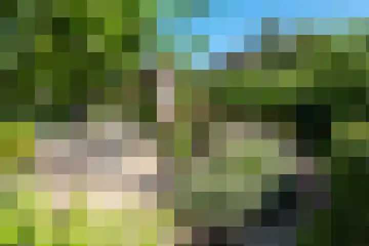 Hoogeweg 11 Heiloo thumbnail 53