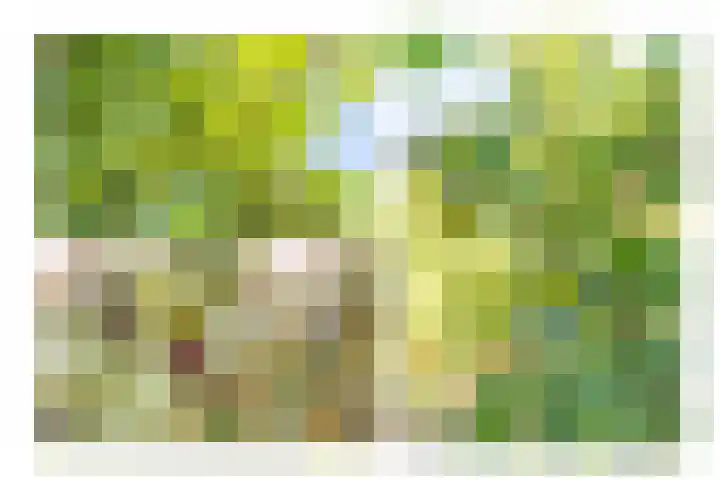 Hoogeweg 11 Heiloo thumbnail 55