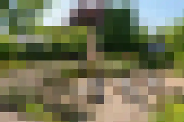 Hoogeweg 11 Heiloo thumbnail 56