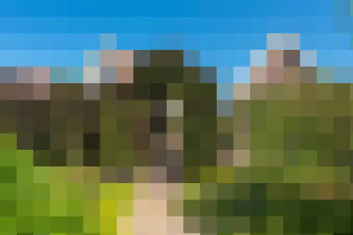 Hoogeweg 11 Heiloo thumbnail 61