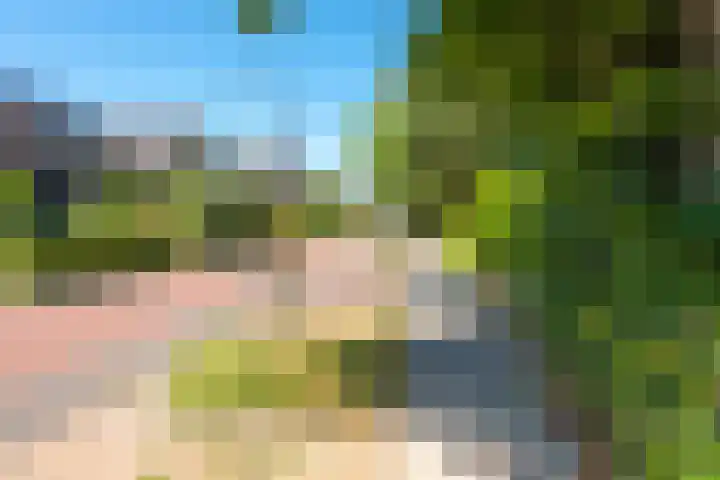 Hoogeweg 11 Heiloo thumbnail 66