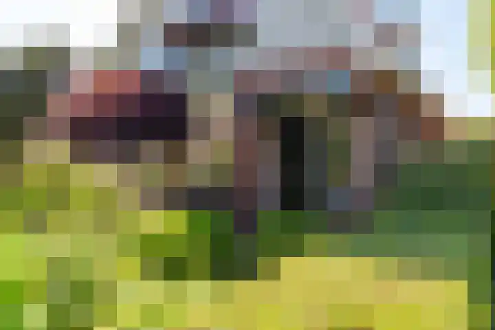 Hoogeweg 11 Heiloo thumbnail 9