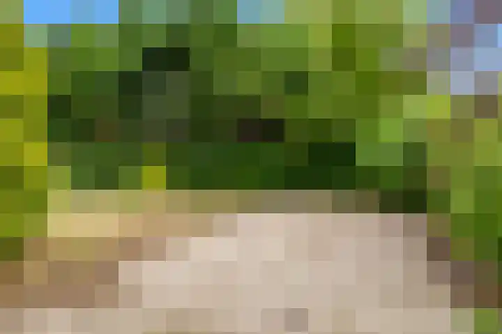Hoogeweg 25 Heiloo thumbnail 28