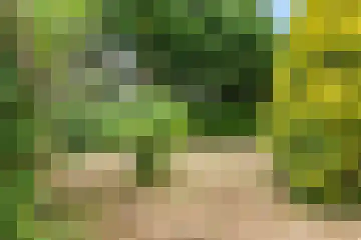 Hoogeweg 25 Heiloo thumbnail 29