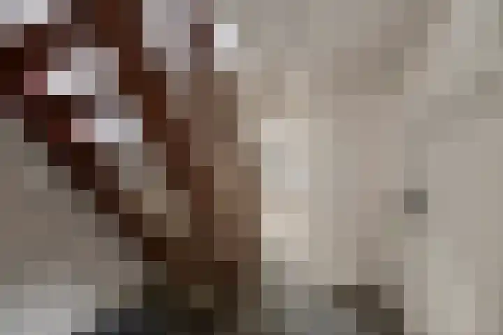 Hoogeweg 34 Pannerden thumbnail 35
