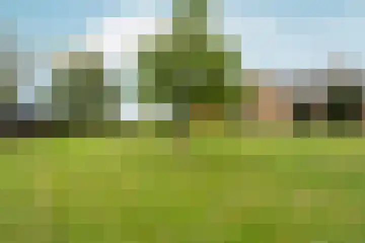 Hoogeweg 34 Pannerden thumbnail 39