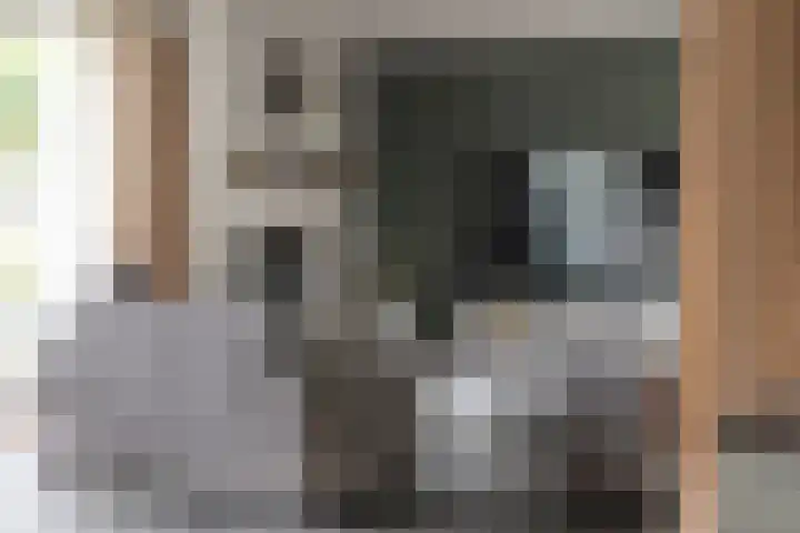 Hoogeweg 34 Pannerden thumbnail 4