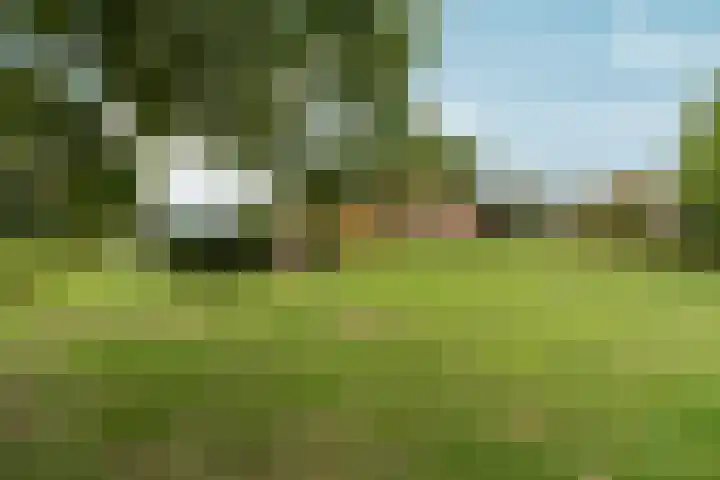 Hoogeweg 34 Pannerden thumbnail 42