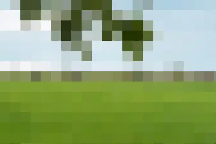 Hoogeweg 34 Pannerden thumbnail 43